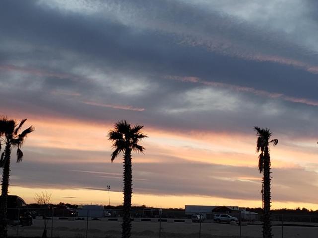 Rivercity Rv Park New Braunfels Exteriör bild